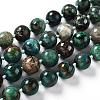 Natural Chrysocolla Beads Strands G-G010-16-1