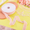 10 Yards Polyester Velvet Ribbon OCOR-TA0004-13B-5