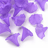 Transparent Acrylic Beads BSF796-C26-1