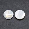 Shell Cabochons SSHEL-E568-B-2