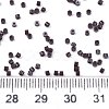 FGB 11/0 Grade A Glass Seed Beads X-SEED-S030-1014-4