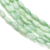 Natural Freshwater Shell Beads Strands SHEL-C010-01A-2