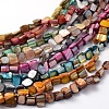 Irregular Natural Sea Shell Beads Strands SSHEL-X0001-1