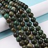 Natural African Turquoise(Jasper) Beads Strands TURQ-G037-10mm-4