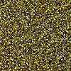 MIYUKI Delica Beads SEED-X0054-DB2164-3