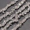 Natural Quartz Crystal Chip Beads Strands G-M205-01-1