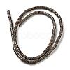 Natural Snowflake Obsidian Beads Strands G-E612-A07-2