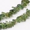 Chips Natural Green Apatite Beads Strands G-N0164-26-2