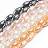 Electroplate Natural Freshwater Shell Beads Strands SHEL-T017-13B-1