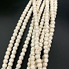 Synthetic Turquoise Beads Strands G-WH0022-21B-1