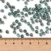 Transparent Inside Colours Glass Seed Beads SEED-H002-A-C222-4
