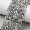 Natural Labradorite Beads Strands G-L651-C11-4mm-1