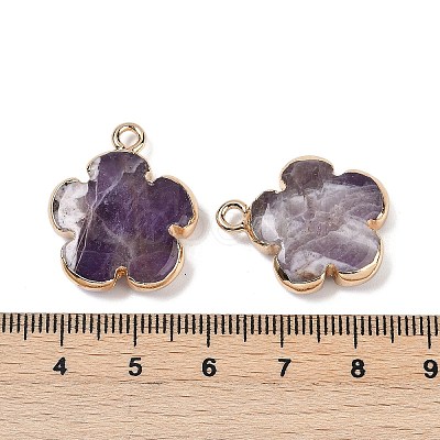 Natural Amethyst Pendants G-P566-01G-04-1