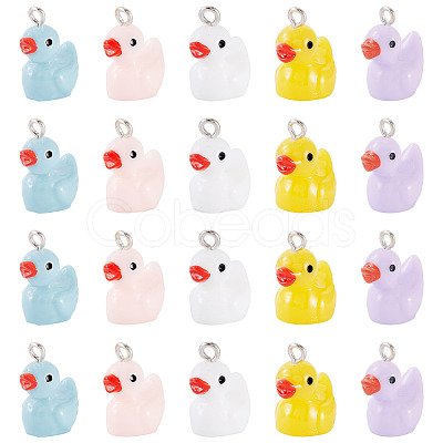 20Pcs Opaque Resin Pendants RESI-TADJ0001-09-1