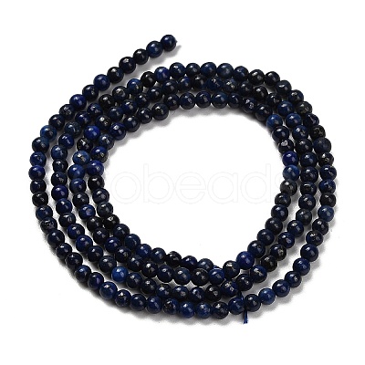 Dyed Natural Lapis Lazuli Beads Strands LS-G-H317-A01-1