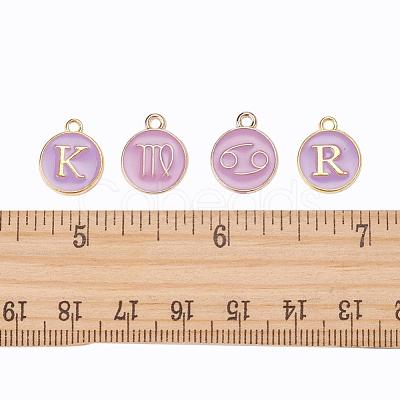 2 Sets 2 Styles Golden Plated Alloy Enamel Charms ENAM-YW0001-28B-1
