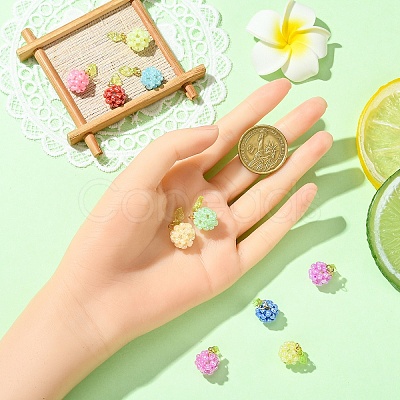 10Pcs 10 Colors Glass Seed Beaded Fruit Charms PALLOY-YW00080-1