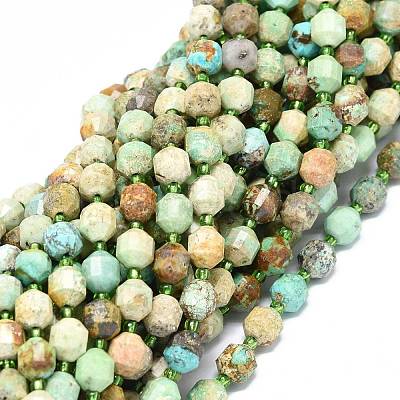 Natural Turquoise Beads Strands G-O201B-66A-1