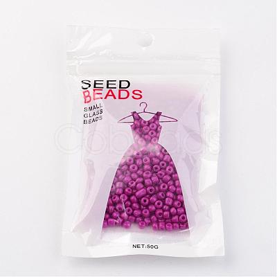 6/0 Baking Paint Glass Seed Beads X-SEED-S003-K21-1