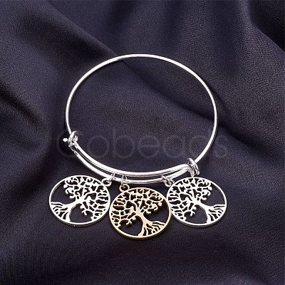 Tibetan Style Alloy Pendants TIBEP-PH0003-01-1