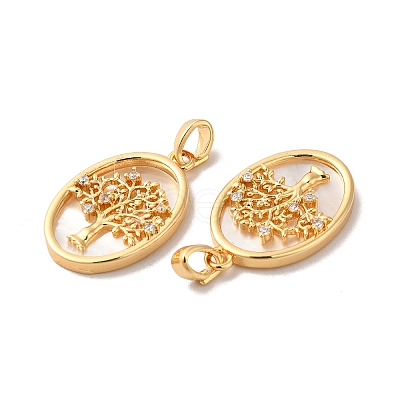 Brass Shell Pendants KK-M243-34G-1
