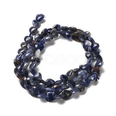 Natural Sodalite Beads Strands G-P575-C15-6mm-1