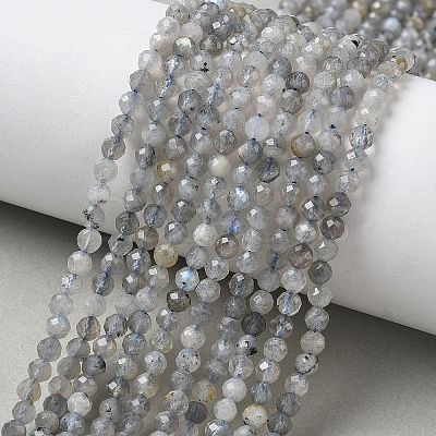 Natural Labradorite Beads Strands G-L651-C11-4mm-1