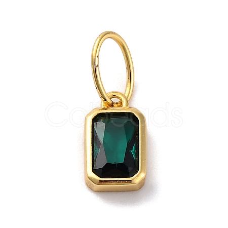 925 Sterling Silver Cubic Zirconia Charms STER-NH0014-01G-05-1