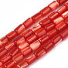 Natural Trochid Shell/Trochus Shell Beads Strands SHEL-N003-26-B03-1