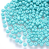 6/0 Baking Paint Glass Round Seed Beads SEED-S036-01C-13-1