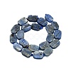 Natural Kyanite/Cyanite/Disthene Beads Strands G-F725-03-2