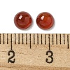 Natural Carnelian Cabochons X-G-Q173-01B-14-3