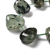 Natural Prehnite Beads Strands G-P528-E13-01-3