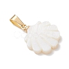Natural Freshwater Shell Pendants PALLOY-JF05137-02-3