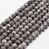 Natural Map Stone/Picasso Stone/Picasso Jasper Beads Strands G-D840-35-4mm-1