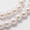 Shell Pearl Bead Strands BSHE-L025-01-4mm-3