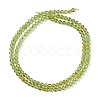 Natural Peridot Beads Strands G-K313-B01-02-3