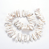 Natural Keshi Pearl Beads Strands PEAR-S020-H04-3