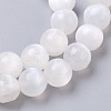 Natural Selenite Beads Strands G-I203-C-6mm-4