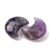 Natural Banded Amethyst Beads G-T147-01A-07-2