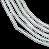 Dyed Natural White Jade Beads Strands G-P600-B07-01D-4