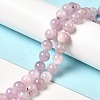 Natural Kunzite Beads Strands G-I346-04-6