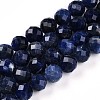 Natural Sodalite Beads Strands G-S345-10mm-26-1
