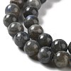 Natural Labradorite Beads Strands G-S333-8mm-035-3