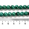 Natural Malachite Beads Strands G-F571-27A1-7mm-4