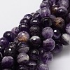 Faceted Round Natural Chevron Amethyst Bead Strands G-L437-22-10mm-1