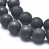 Natural Shungite Beads Strands G-F675-04-8mm-3