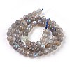 Natural Labradorite Beads Strands G-O176-04B-3