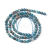 Natural Apatite Beads Strands G-L554-01-4mm-3