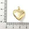 Brass Micro Pave Cubic Zirconia Locket Pendants KK-F905-05G-01-3